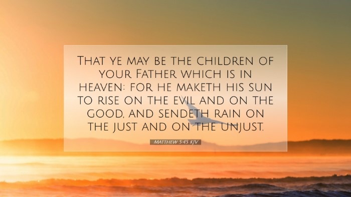 Picture 07 - Matthew 5:45 KJV Desktop Wallpaper - That ye may be the children of your Father which - Desktop Bible Verse Wallpaper