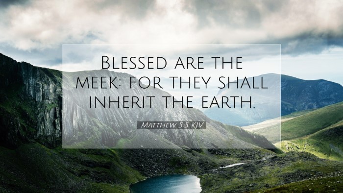 Picture 07 - Matthew 5:5 KJV Desktop Wallpaper - Blessed are the meek: for they shall inherit the - Desktop Bible Verse Wallpaper
