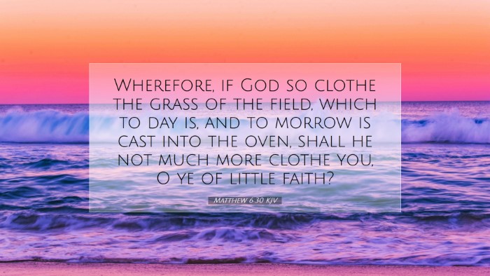 Picture 07 - Matthew 6:30 KJV Desktop Wallpaper - Wherefore, if God so clothe the grass of the - Desktop Bible Verse Wallpaper