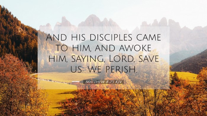 Picture 07 - Matthew 8:25 KJV Desktop Wallpaper - And his disciples came to him, and awoke him, - Desktop Bible Verse Wallpaper
