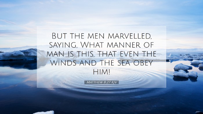 Picture 07 - Matthew 8:27 KJV Desktop Wallpaper - But the men marvelled, saying, What manner of man - Desktop Bible Verse Wallpaper