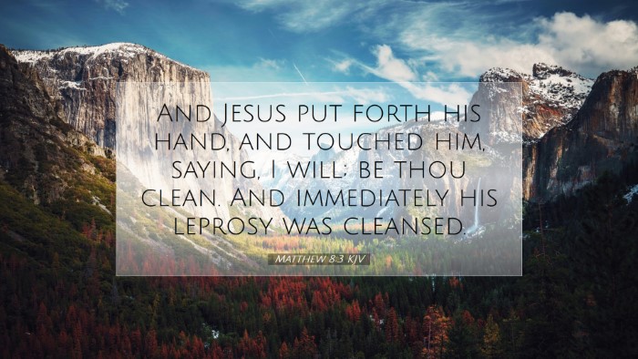Picture 07 - Matthew 8:3 KJV Desktop Wallpaper - And Jesus put forth his hand, and touched him, - Desktop Bible Verse Wallpaper