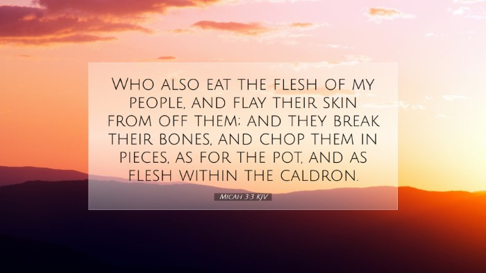 Picture 07 - Micah 3:3 KJV Desktop Wallpaper - Who also eat the flesh of my people, and flay - Desktop Bible Verse Wallpaper