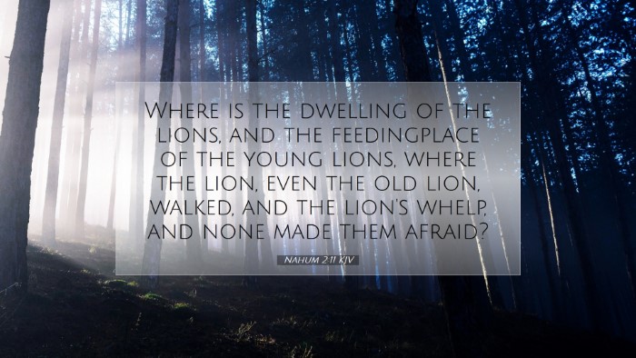 Picture 07 - Nahum 2:11 KJV Desktop Wallpaper - Where is the dwelling of the lions, and the - Desktop Bible Verse Wallpaper