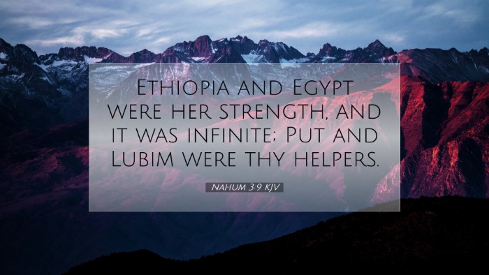 Picture 07 - Nahum 3:9 KJV Desktop Wallpaper - Ethiopia and Egypt were her strength, and it was - Desktop Bible Verse Wallpaper