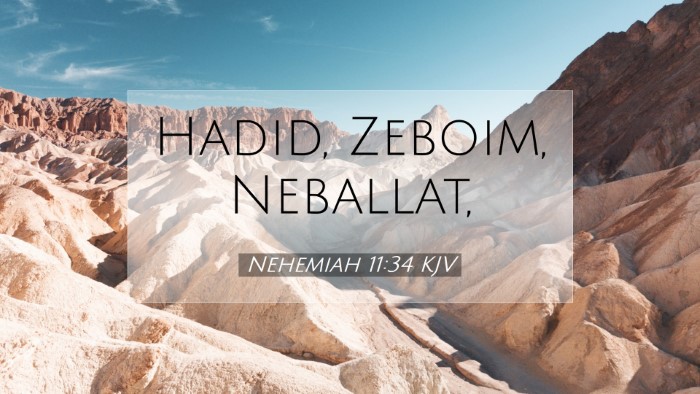 Picture 07 - Nehemiah 11:34 KJV Desktop Wallpaper - Hadid, Zeboim, - Desktop Bible Verse Wallpaper