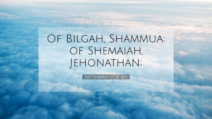 Picture 07 - Nehemiah 12:18 KJV Desktop Wallpaper - Of Bilgah, Shammua; of Shemaiah, - Desktop Bible Verse Wallpaper
