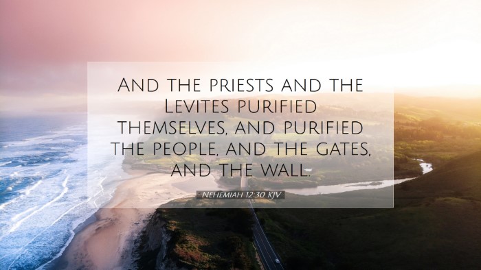 Picture 07 - Nehemiah 12:30 KJV Desktop Wallpaper - And the priests and the Levites purified - Desktop Bible Verse Wallpaper