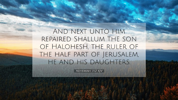 Picture 07 - Nehemiah 3:12 KJV Desktop Wallpaper - And next unto him repaired Shallum the son of - Desktop Bible Verse Wallpaper