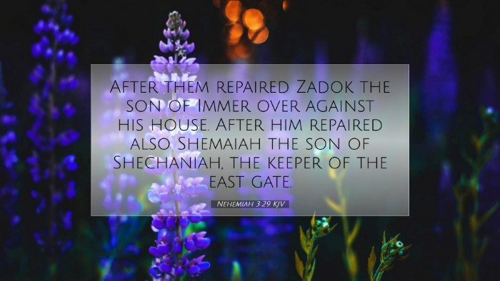 Picture 07 - Nehemiah 3:29 KJV Desktop Wallpaper - After them repaired Zadok the son of Immer over - Desktop Bible Verse Wallpaper