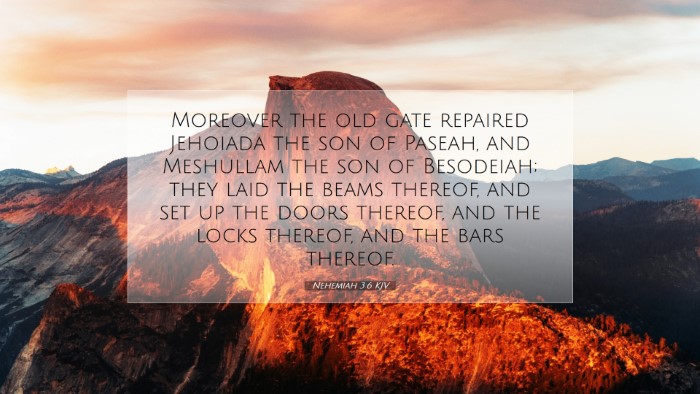 Picture 07 - Nehemiah 3:6 KJV Desktop Wallpaper - Moreover the old gate repaired Jehoiada the son - Desktop Bible Verse Wallpaper