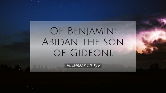 Picture 07 - Numbers 1:11 KJV Desktop Wallpaper - Of Benjamin; Abidan the son of - Desktop Bible Verse Wallpaper