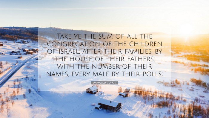 Picture 07 - Numbers 1:2 KJV Desktop Wallpaper - Take ye the sum of all the congregation of the - Desktop Bible Verse Wallpaper