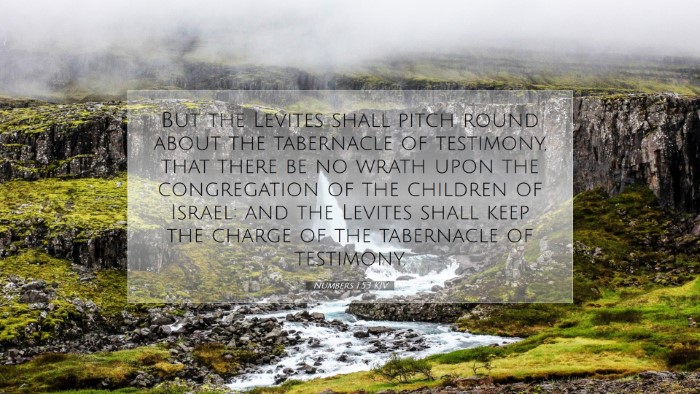 Picture 07 - Numbers 1:53 KJV Desktop Wallpaper - But the Levites shall pitch round about the - Desktop Bible Verse Wallpaper
