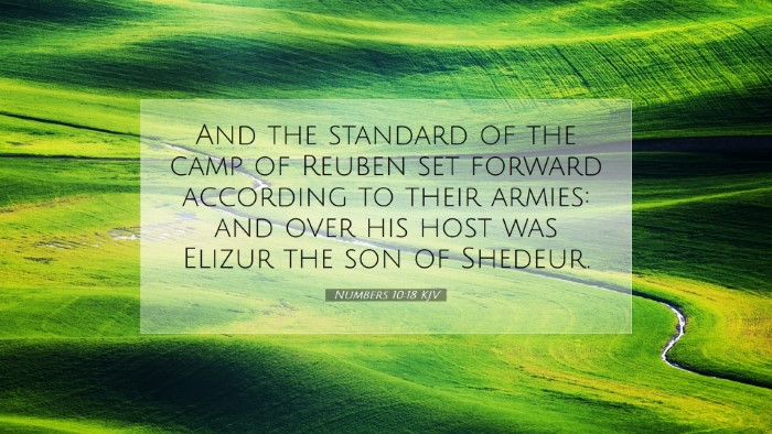 Picture 07 - Numbers 10:18 KJV Desktop Wallpaper - And the standard of the camp of Reuben set - Desktop Bible Verse Wallpaper