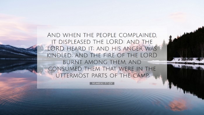 Picture 07 - Numbers 11:1 KJV Desktop Wallpaper - And when the people complained, it displeased the - Desktop Bible Verse Wallpaper