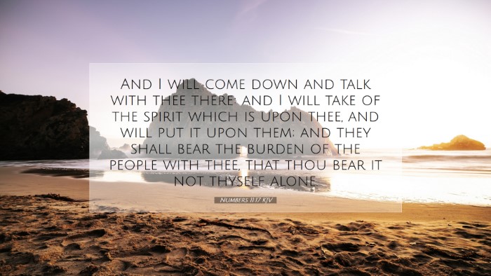 Picture 07 - Numbers 11:17 KJV Desktop Wallpaper - And I will come down and talk with thee there: - Desktop Bible Verse Wallpaper