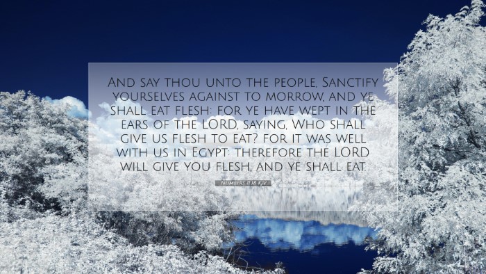Picture 07 - Numbers 11:18 KJV Desktop Wallpaper - And say thou unto the people, Sanctify yourselves - Desktop Bible Verse Wallpaper