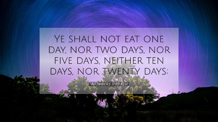 Picture 07 - Numbers 11:19 KJV Desktop Wallpaper - Ye shall not eat one day, nor two days, nor five - Desktop Bible Verse Wallpaper