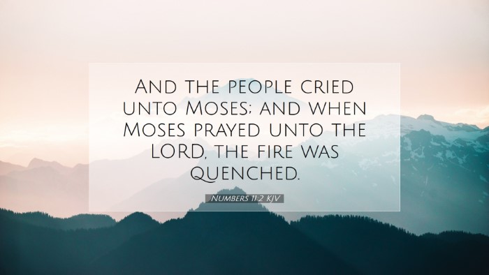 Picture 07 - Numbers 11:2 KJV Desktop Wallpaper - And the people cried unto Moses; and when Moses - Desktop Bible Verse Wallpaper