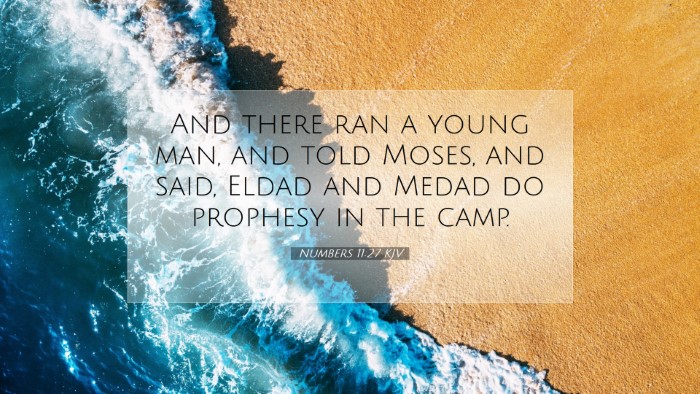Picture 07 - Numbers 11:27 KJV Desktop Wallpaper - And there ran a young man, and told Moses, and - Desktop Bible Verse Wallpaper