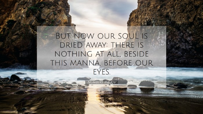 Picture 07 - Numbers 11:6 KJV Desktop Wallpaper - But now our soul is dried away: there is nothing - Desktop Bible Verse Wallpaper