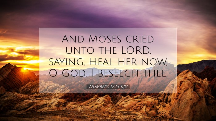 Picture 07 - Numbers 12:13 KJV Desktop Wallpaper - And Moses cried unto the LORD, saying, Heal her - Desktop Bible Verse Wallpaper