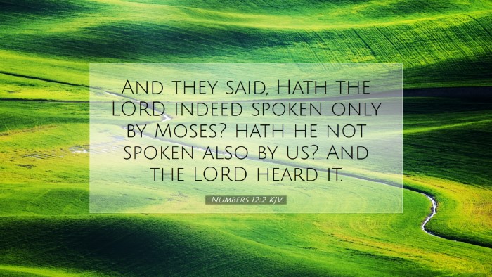 Picture 07 - Numbers 12:2 KJV Desktop Wallpaper - And they said, Hath the LORD indeed spoken only - Desktop Bible Verse Wallpaper