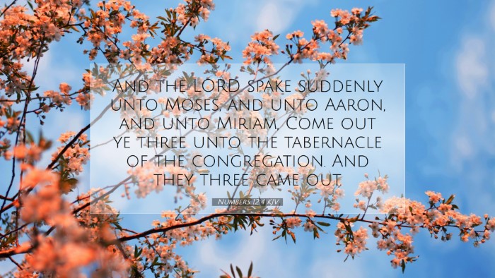 Picture 07 - Numbers 12:4 KJV Desktop Wallpaper - And the LORD spake suddenly unto Moses, and unto - Desktop Bible Verse Wallpaper
