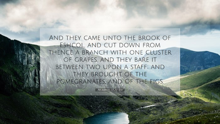 Picture 07 - Numbers 13:23 KJV Desktop Wallpaper - And they came unto the brook of Eshcol, and cut - Desktop Bible Verse Wallpaper