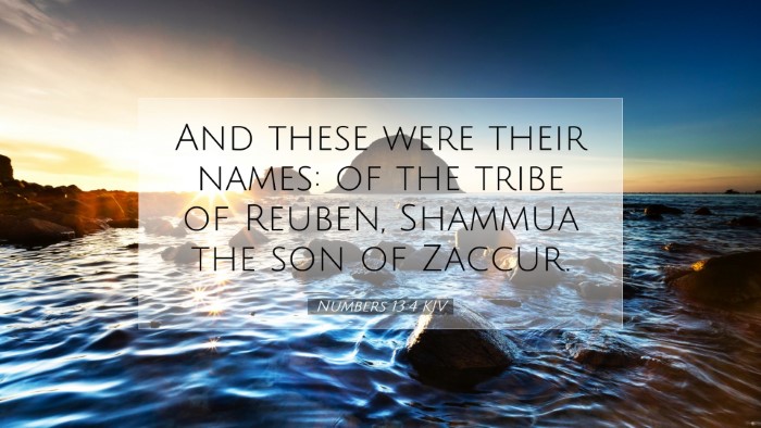 Picture 07 - Numbers 13:4 KJV Desktop Wallpaper - And these were their names: of the tribe of - Desktop Bible Verse Wallpaper