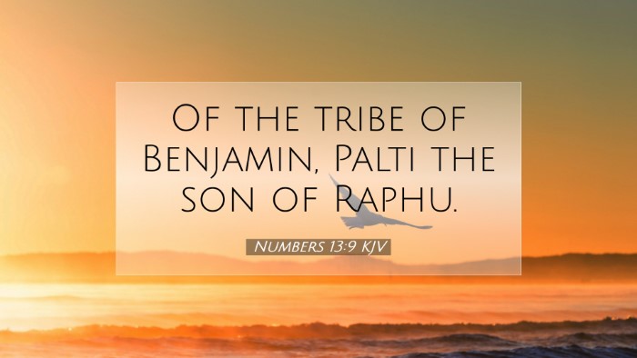 Picture 07 - Numbers 13:9 KJV Desktop Wallpaper - Of the tribe of Benjamin, Palti the son of - Desktop Bible Verse Wallpaper