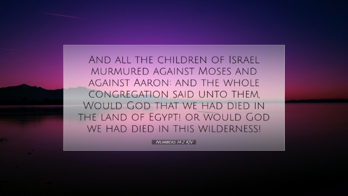 Picture 07 - Numbers 14:2 KJV Desktop Wallpaper - And all the children of Israel murmured against - Desktop Bible Verse Wallpaper