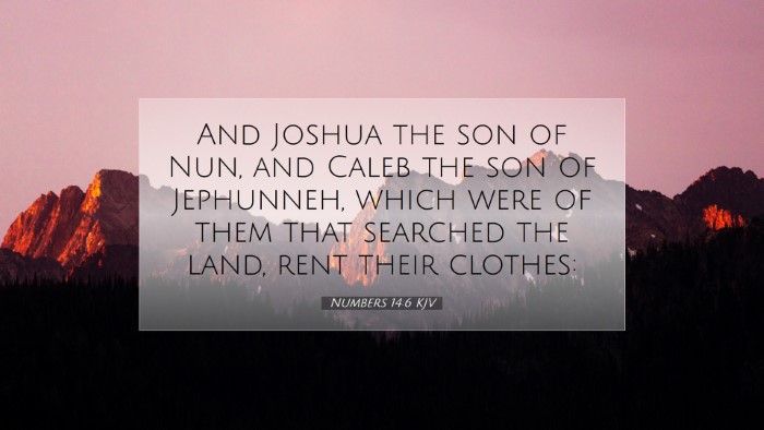 Picture 07 - Numbers 14:6 KJV Desktop Wallpaper - And Joshua the son of Nun, and Caleb the son of - Desktop Bible Verse Wallpaper