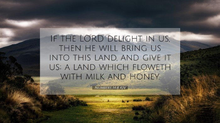 Picture 07 - Numbers 14:8 KJV Desktop Wallpaper - If the LORD delight in us, then he will bring us - Desktop Bible Verse Wallpaper