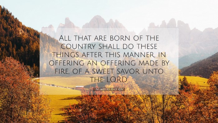 Picture 07 - Numbers 15:13 KJV Desktop Wallpaper - All that are born of the country shall do these - Desktop Bible Verse Wallpaper