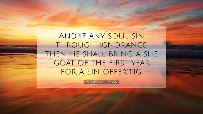 Picture 07 - Numbers 15:27 KJV Desktop Wallpaper - And if any soul sin through ignorance, then he - Desktop Bible Verse Wallpaper