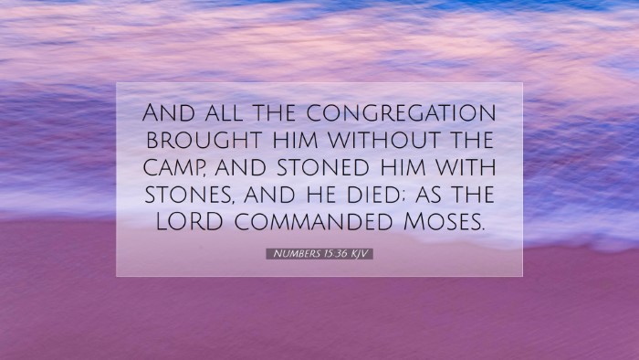 Picture 07 - Numbers 15:36 KJV Desktop Wallpaper - And all the congregation brought him without the - Desktop Bible Verse Wallpaper