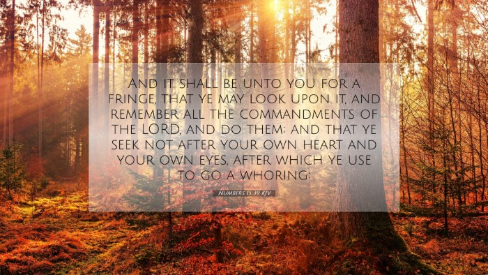 Picture 07 - Numbers 15:39 KJV Desktop Wallpaper - And it shall be unto you for a fringe, that ye - Desktop Bible Verse Wallpaper