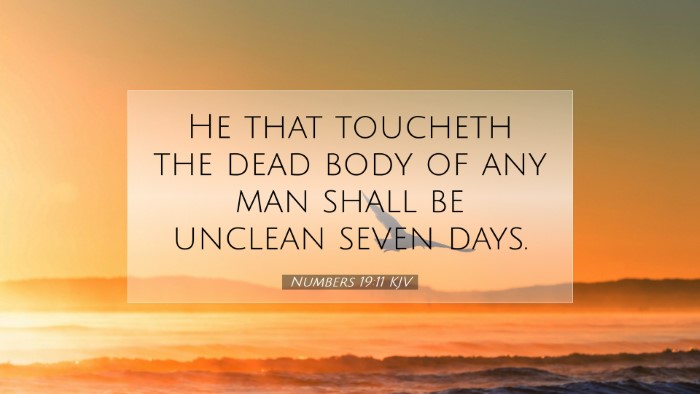 Picture 07 - Numbers 19:11 KJV Desktop Wallpaper - He that toucheth the dead body of any man shall - Desktop Bible Verse Wallpaper