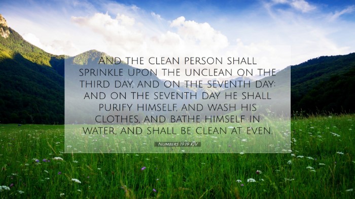 Picture 07 - Numbers 19:19 KJV Desktop Wallpaper - And the clean person shall sprinkle upon the - Desktop Bible Verse Wallpaper