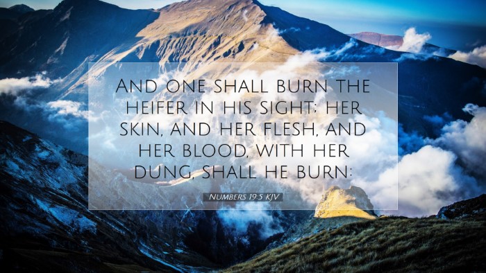 Picture 07 - Numbers 19:5 KJV Desktop Wallpaper - And one shall burn the heifer in his sight; her - Desktop Bible Verse Wallpaper