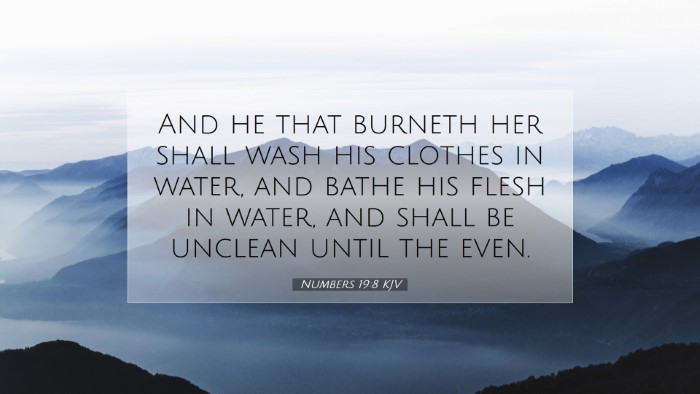Picture 07 - Numbers 19:8 KJV Desktop Wallpaper - And he that burneth her shall wash his clothes in - Desktop Bible Verse Wallpaper