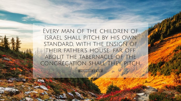 Picture 07 - Numbers 2:2 KJV Desktop Wallpaper - Every man of the children of Israel shall pitch - Desktop Bible Verse Wallpaper