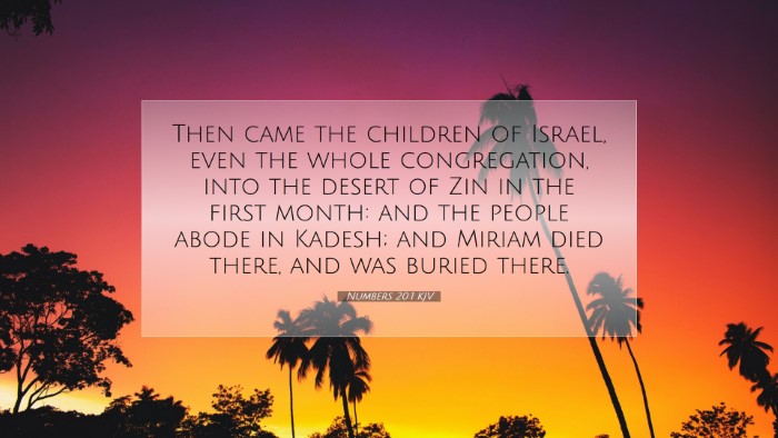Picture 07 - Numbers 20:1 KJV Desktop Wallpaper - Then came the children of Israel, even the whole - Desktop Bible Verse Wallpaper