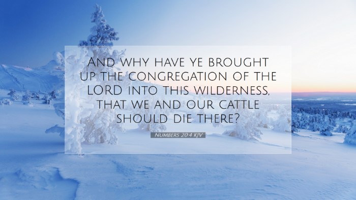 Picture 07 - Numbers 20:4 KJV Desktop Wallpaper - And why have ye brought up the congregation of - Desktop Bible Verse Wallpaper