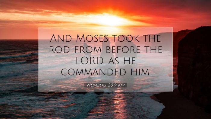 Picture 07 - Numbers 20:9 KJV Desktop Wallpaper - And Moses took the rod from before the LORD, as - Desktop Bible Verse Wallpaper