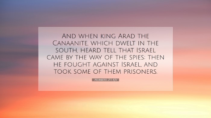 Picture 07 - Numbers 21:1 KJV Desktop Wallpaper - And when king Arad the Canaanite, which dwelt in - Desktop Bible Verse Wallpaper