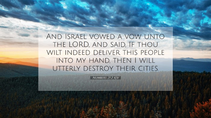 Picture 07 - Numbers 21:2 KJV Desktop Wallpaper - And Israel vowed a vow unto the LORD, and said, - Desktop Bible Verse Wallpaper