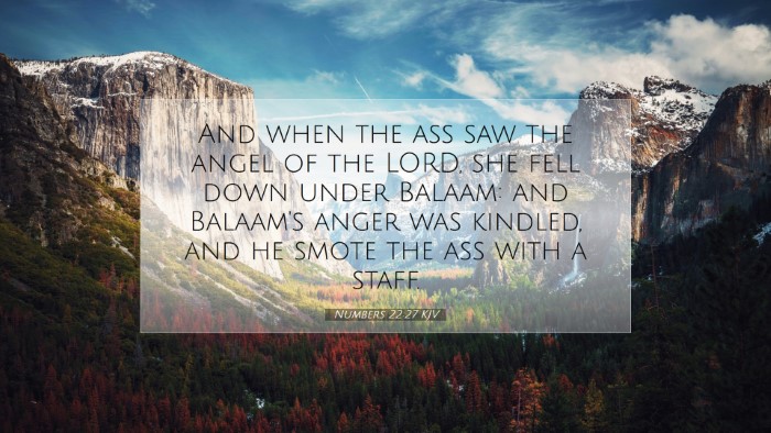 Picture 07 - Numbers 22:27 KJV Desktop Wallpaper - And when the ass saw the angel of the LORD, she - Desktop Bible Verse Wallpaper